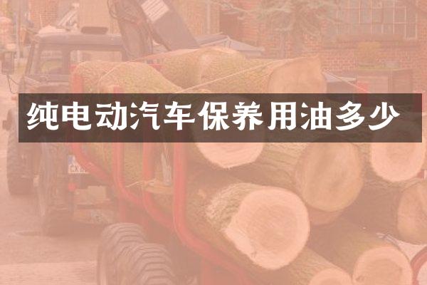 纯电动汽车保养用油多少