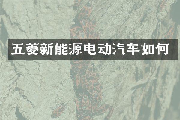 五菱新能源电动汽车如何