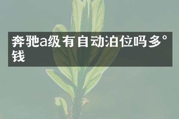 奔驰a级有自动泊位吗多少钱