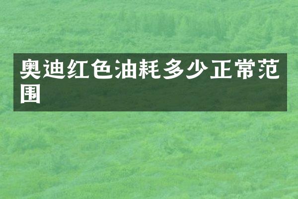 奥迪红色油耗多少正常范围