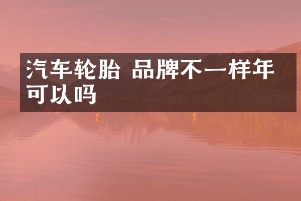 汽车轮胎 品牌不一样年审可以吗