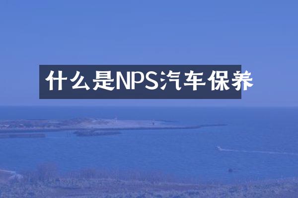 什么是NPS汽车保养