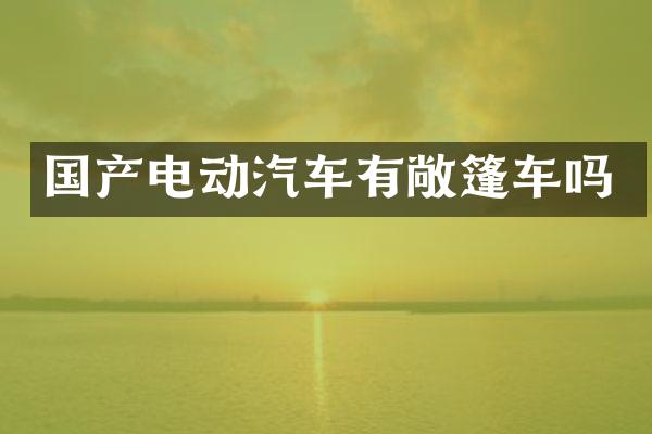 国产电动汽车有敞篷车吗