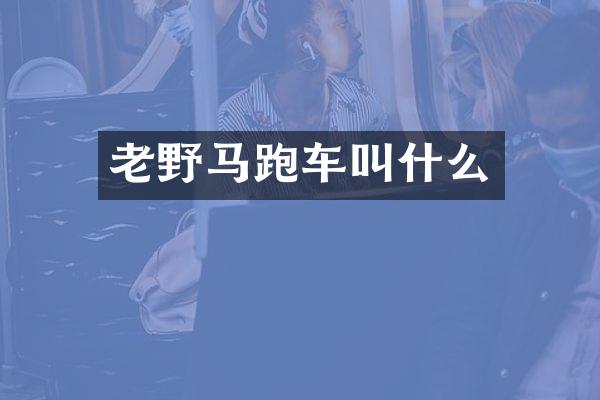 老野马跑车叫什么