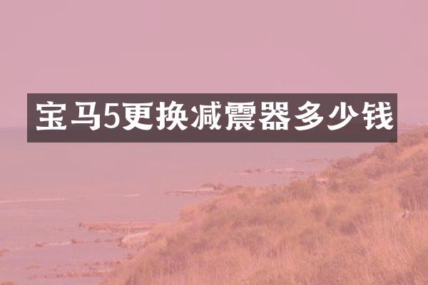 宝马5更换减震器多少钱