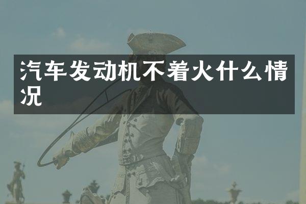 汽车发动机不着火什么情况