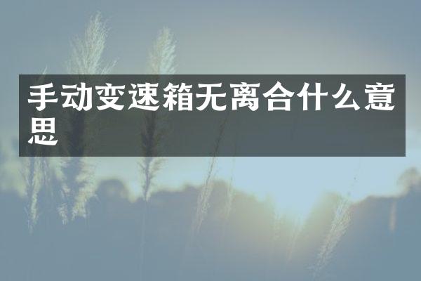 手动变速箱无离合什么意思
