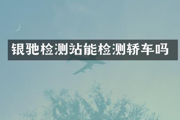 银驰检测站能检测轿车吗