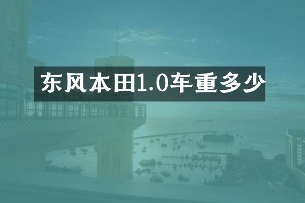 东风本田1.0车重多少