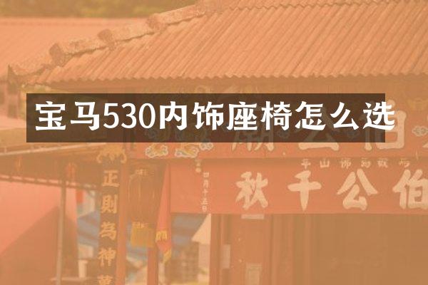 宝马530内饰座椅怎么选