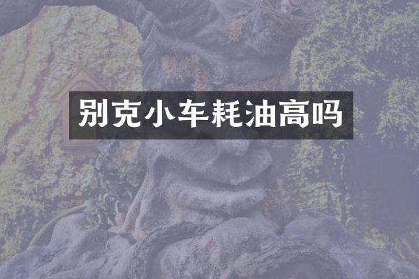 别克小车耗油高吗