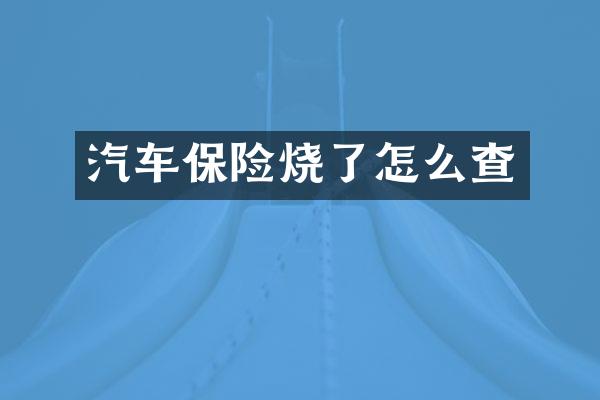 汽车保险烧了怎么查