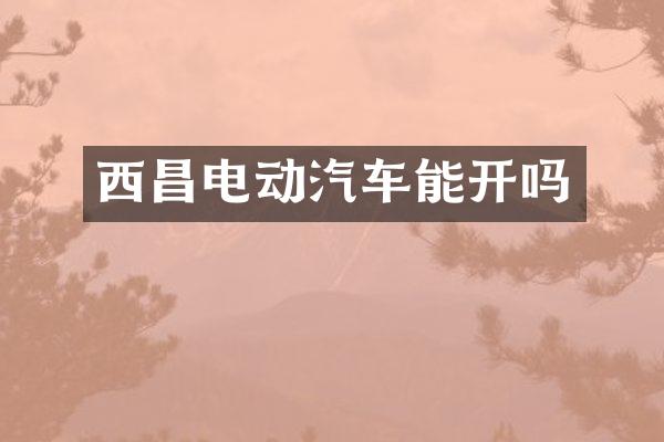西昌电动汽车能开吗