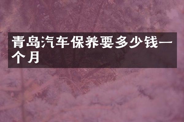 青岛汽车保养要多少钱一个月