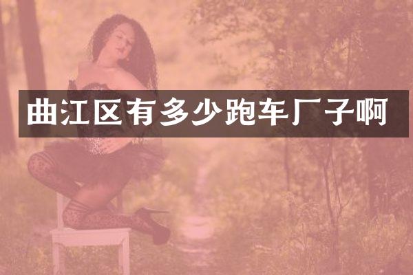 曲江区有多少跑车厂子啊