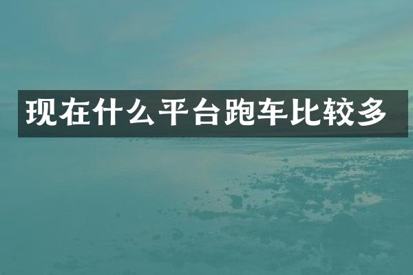 现在什么平台跑车比较多