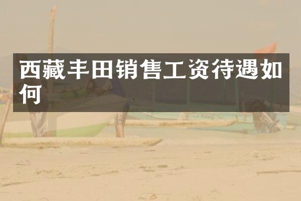西藏丰田销售工资待遇如何