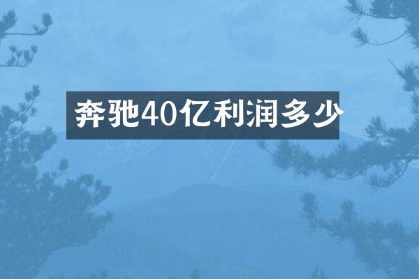 奔驰40亿利润多少