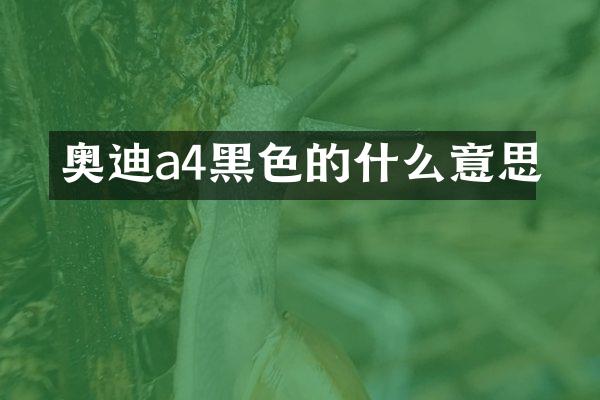 奥迪a4黑色的什么意思