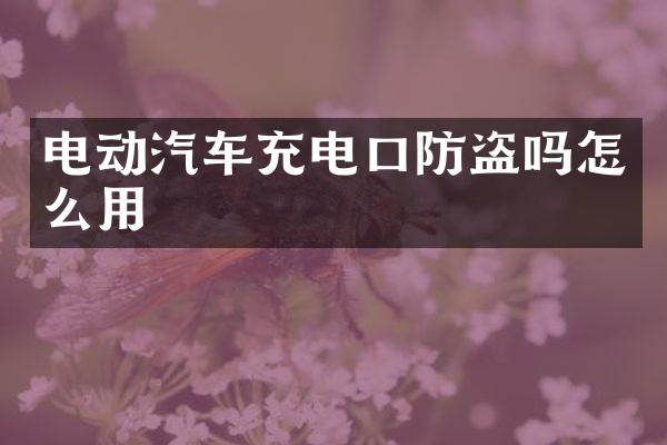 电动汽车充电口防盗吗怎么用