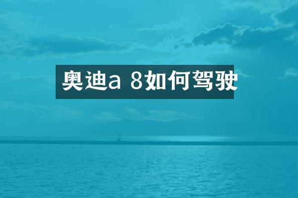 奥迪a 8如何驾驶