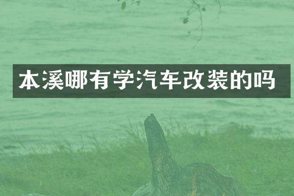 本溪哪有学汽车改装的吗