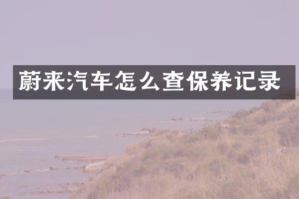 蔚来汽车怎么查保养记录