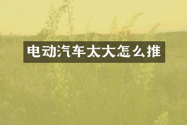 电动汽车太大怎么推