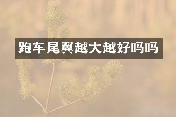 跑车尾翼越大越好吗吗