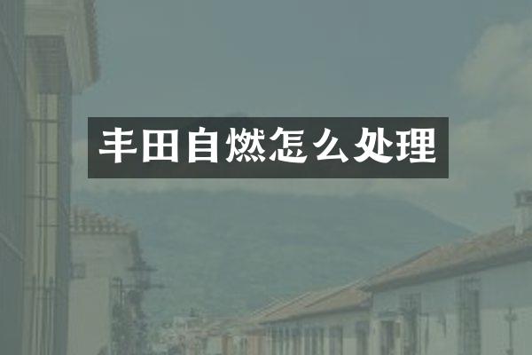 丰田自燃怎么处理