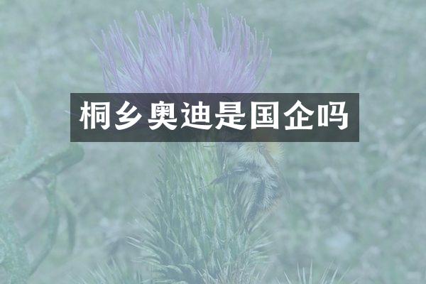 桐乡奥迪是国企吗