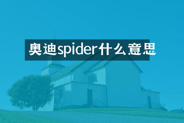 奥迪spider什么意思
