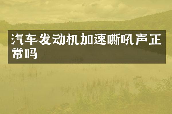 汽车发动机加速嘶吼声正常吗