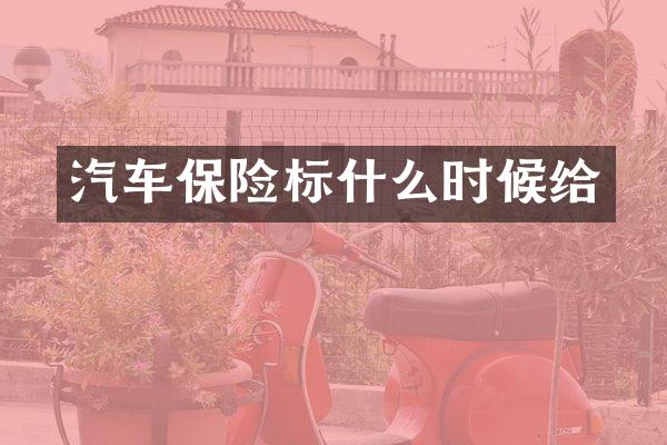 汽车保险标什么时候给