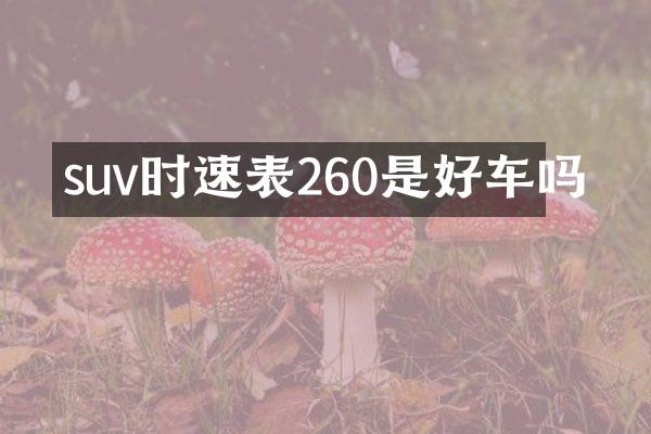 suv时速表260是好车吗