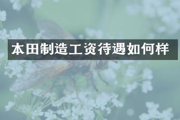本田制造工资待遇如何样
