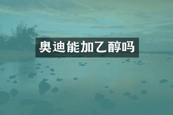 奥迪能加乙醇吗