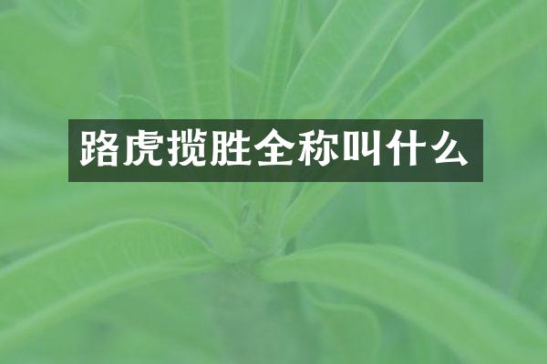路虎揽胜全称叫什么