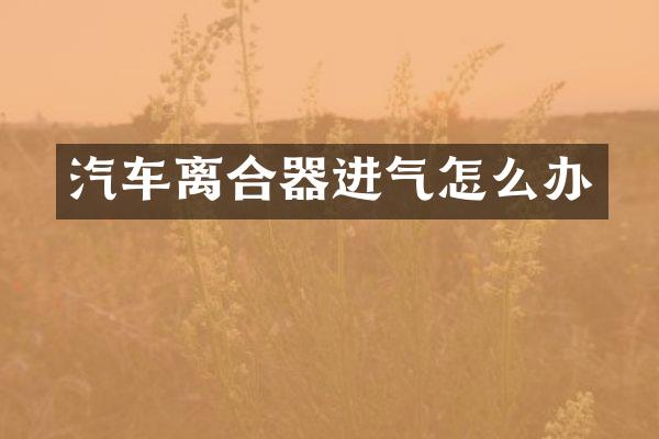 汽车离合器进气怎么办