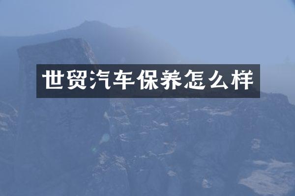 世贸汽车保养怎么样