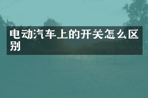电动汽车上的开关怎么区别