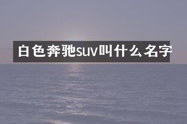 白色奔驰suv叫什么名字
