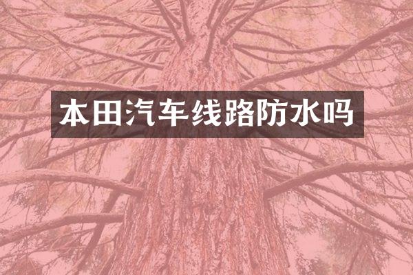 本田汽车线路防水吗