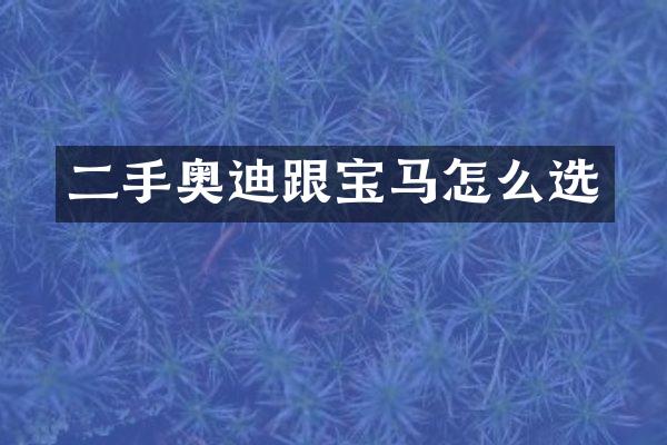 二手奥迪跟宝马怎么选