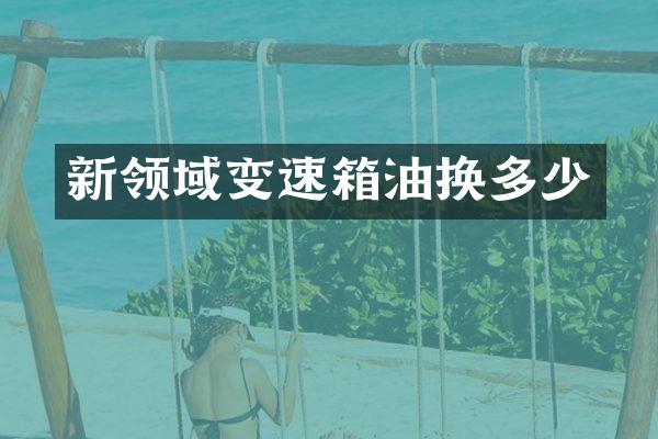 新领域变速箱油换多少