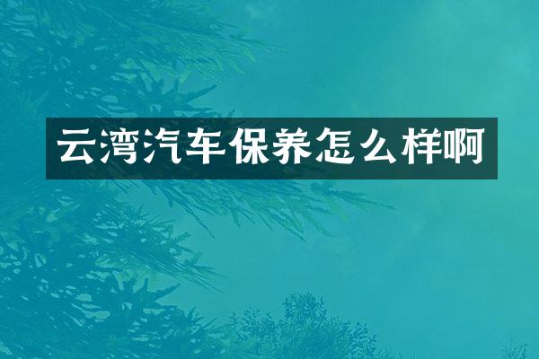 云湾汽车保养怎么样啊