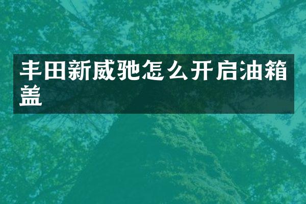 丰田新威驰怎么开启油箱盖