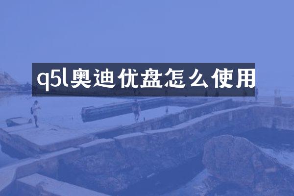 q5l奥迪优盘怎么使用