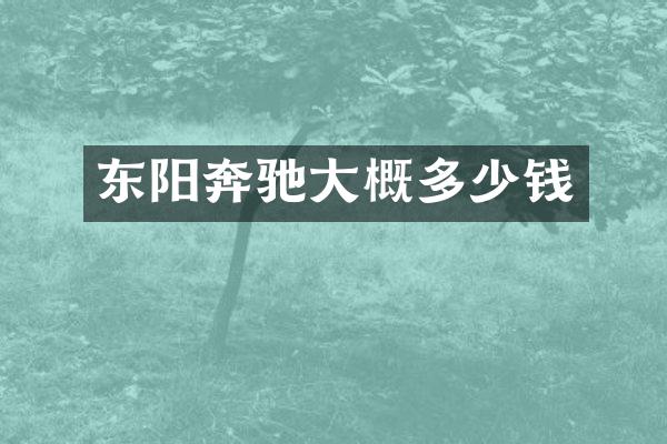 东阳奔驰大概多少钱