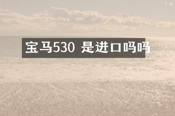 宝马530 是进口吗吗